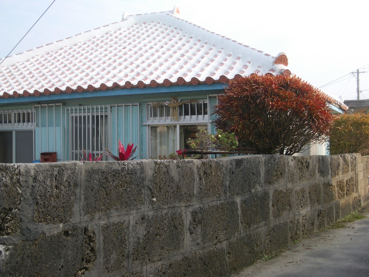 バースディで行く宮古島ママチャリサイクリング 2日目前編 久松地区 マングローブ散策 宮古島 沖縄県 の旅行記 ブログ By Tawassanさん フォートラベル