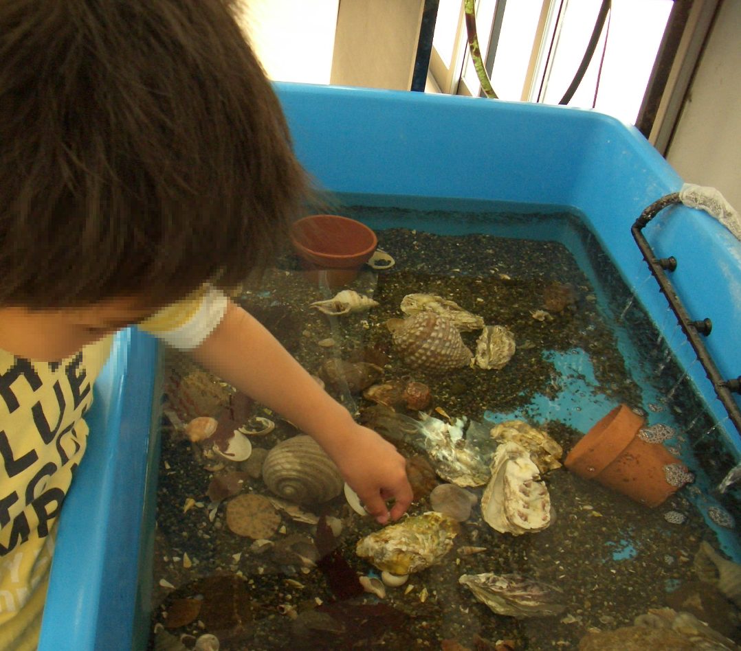 浜名湖いろいろ体験スポット満喫 浜名湖 静岡県 の旅行記 ブログ By そのみさん フォートラベル