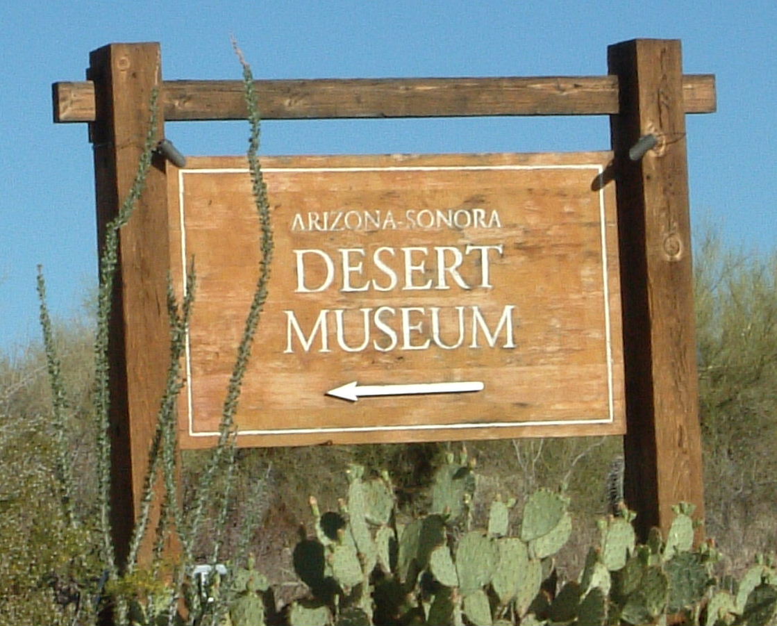 アリゾナ ソノラ 砂漠博物館 Arizona Sonora Desert Museum アリゾナ州 アメリカ の旅行記 ブログ By しんちゃんさん フォートラベル