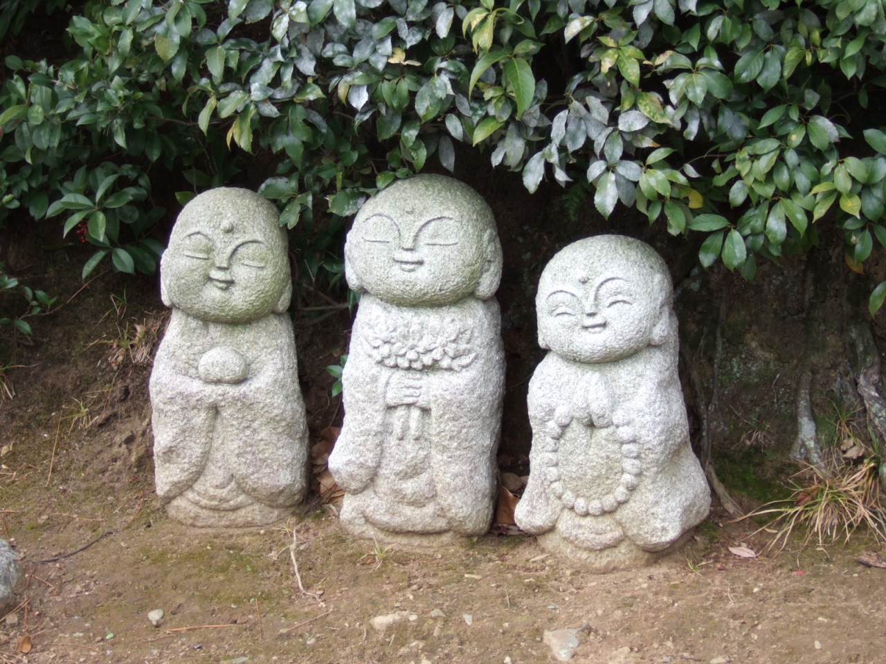 冬の京都旅行２日目 嵐山 鈴虫寺 野宮神社 嵐山 嵯峨野 太秦 桂 京都 の旅行記 ブログ By じゃらんさん フォートラベル
