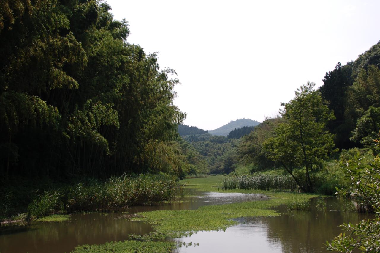 かずさオートキャンプ場２回目 君津 千葉県 の旅行記 ブログ By らめっくさん フォートラベル