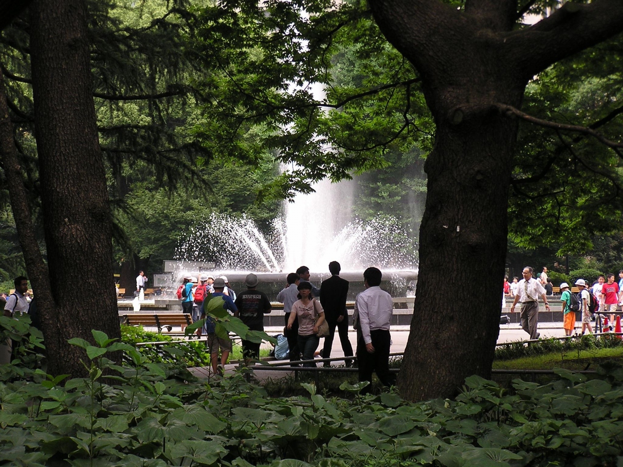 東京駅 丸の内 日比谷公園ウォーキング 丸の内 大手町 八重洲 東京 の旅行記 ブログ By Tsunetaさん フォートラベル
