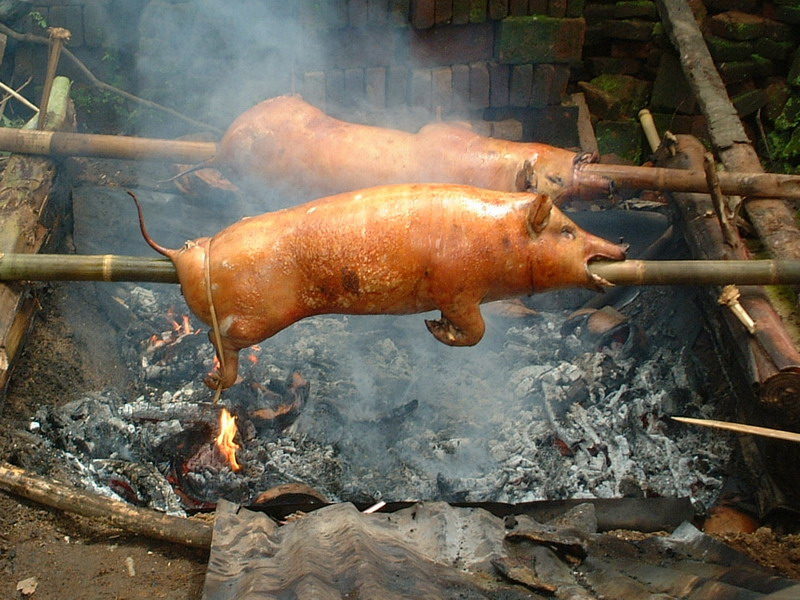 バビグリン 豚の丸焼き のでき方発見 バリ島 インドネシア の旅行記 ブログ By マヤマンさん フォートラベル