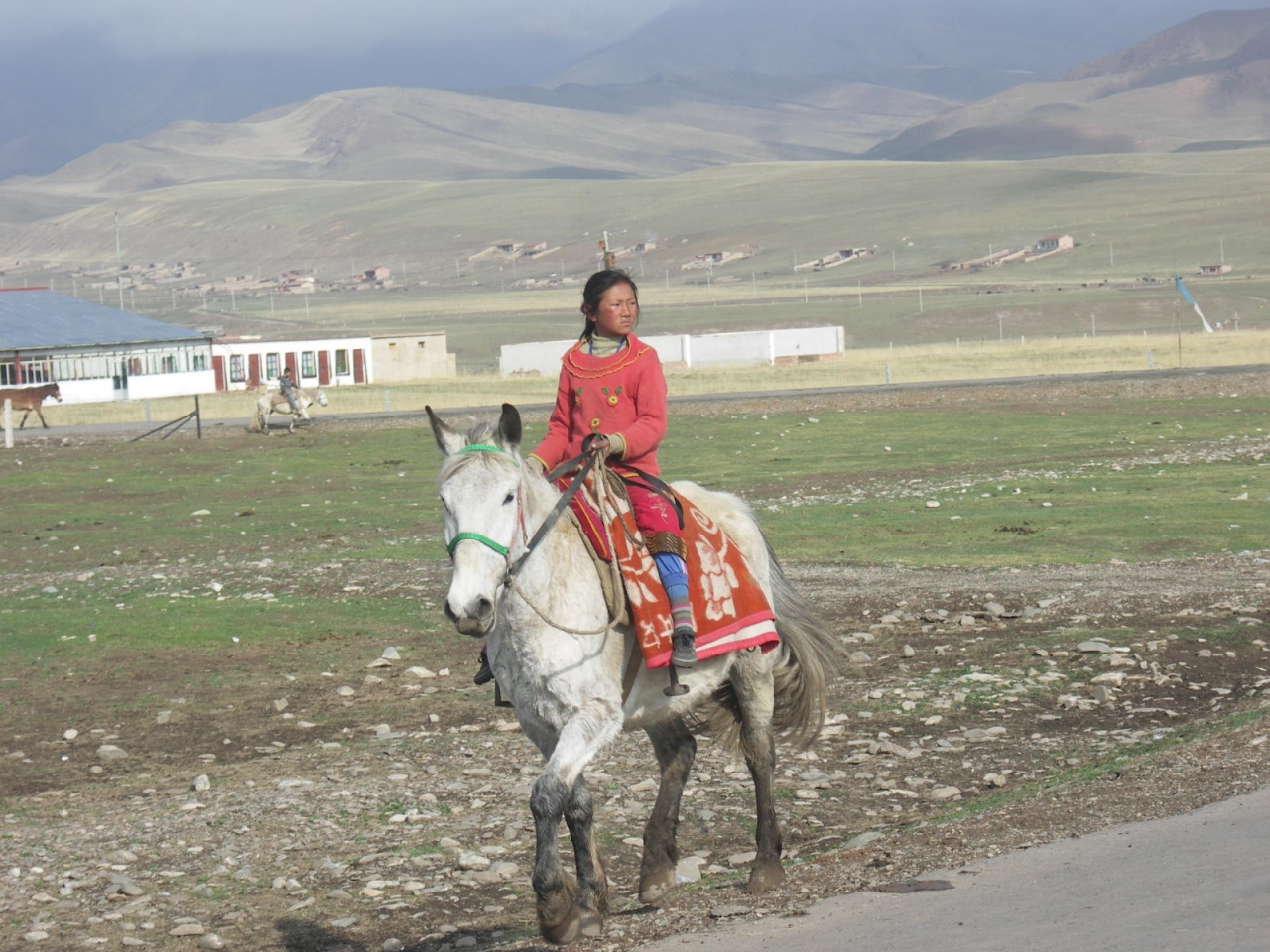 『甘粛省甘南の桑科草原』甘粛省(中国)の旅行記・ブログ by 牛街さん【フォートラベル】