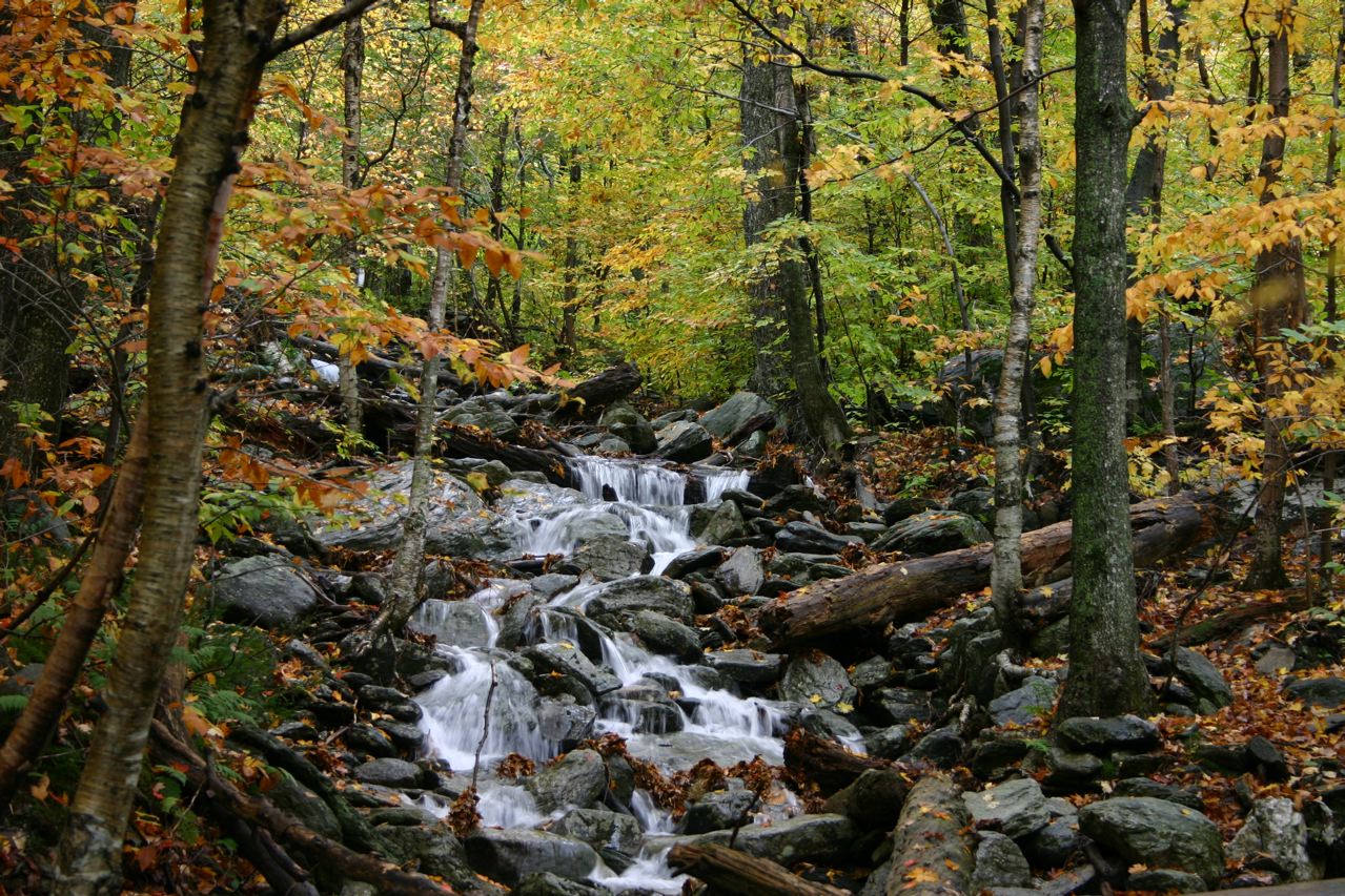 『バーモント州ニュースレター』バーモント州(アメリカ)の旅行記・ブログ by エミリーさん【フォートラベル】