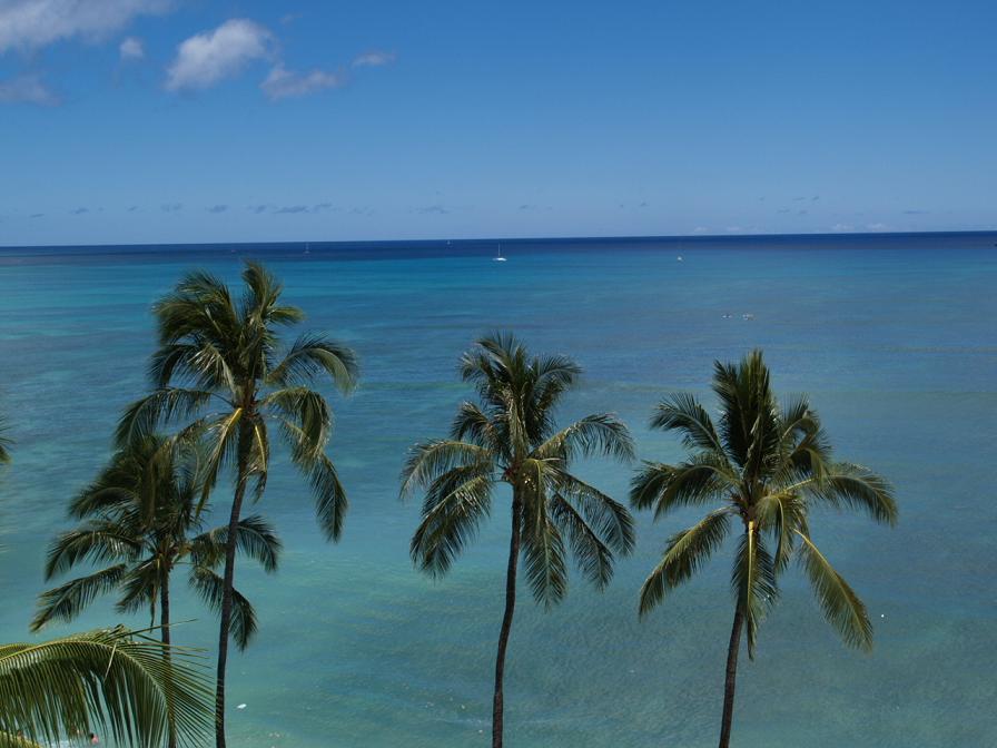 初めてのハワイ ３日目 カネオヘ湾でシーウォーカー オアフ島 ハワイ の旅行記 ブログ By Gotochanさん フォートラベル