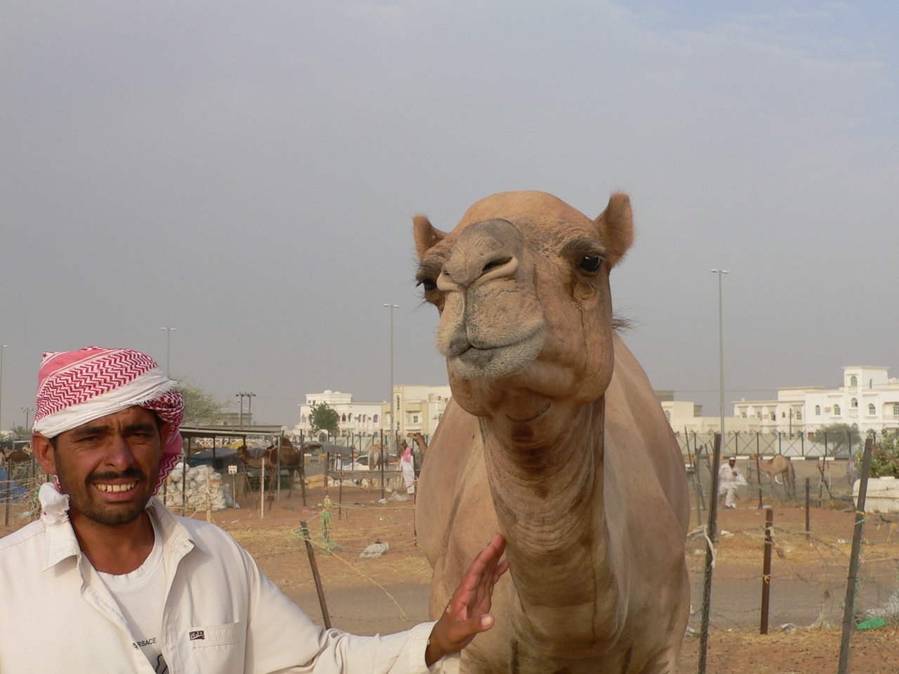 Uae オマーン旅行記 その３ アル アイン アラブ首長国連邦 の旅行記 ブログ By Acucarさん フォートラベル