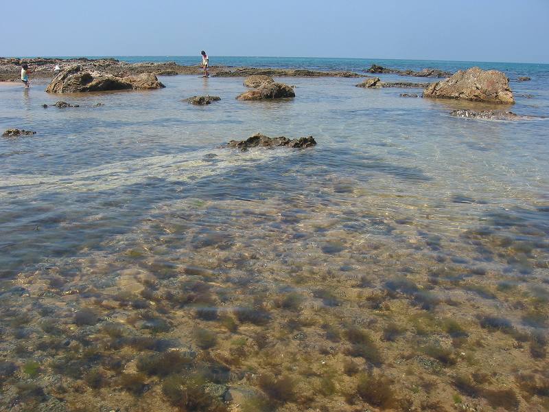 06年8月琴引浜でキャンプ 海水浴 丹後半島 京都 の旅行記 ブログ By Miyuquitaさん フォートラベル