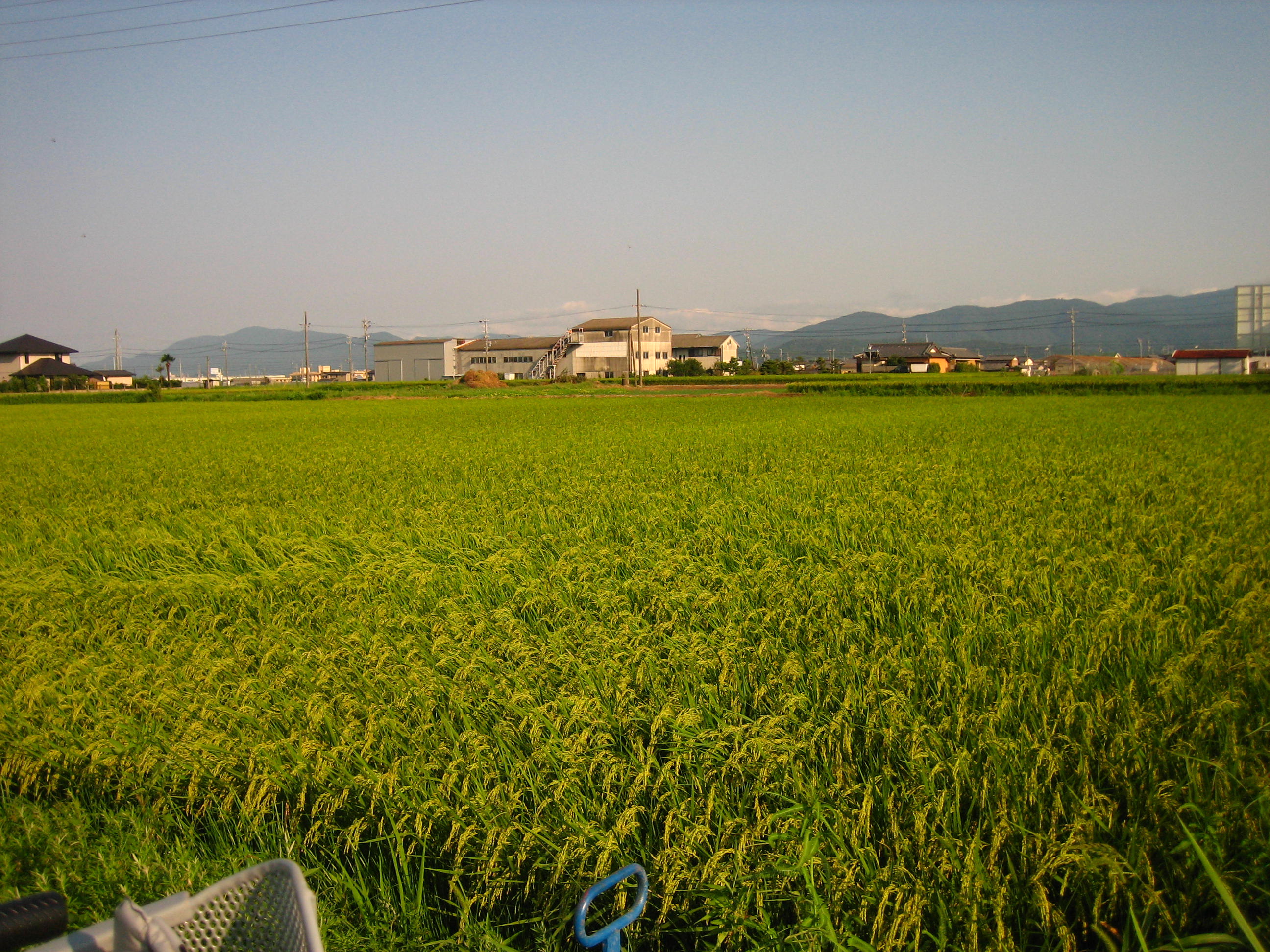 田舎の夏の風景 伊勢神宮 三重県 の旅行記 ブログ By Kojiyanさん フォートラベル 田舎の夏の風景 伊勢神宮 三重県 の旅行記 ブログ By Kojiyanさん フォートラベル