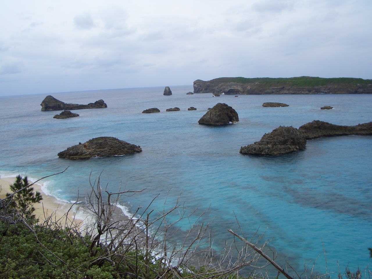 島旅 小笠原諸島 父島編 ジャングルトレッキング 父島 東京 の旅行記 ブログ By つきこさん フォートラベル