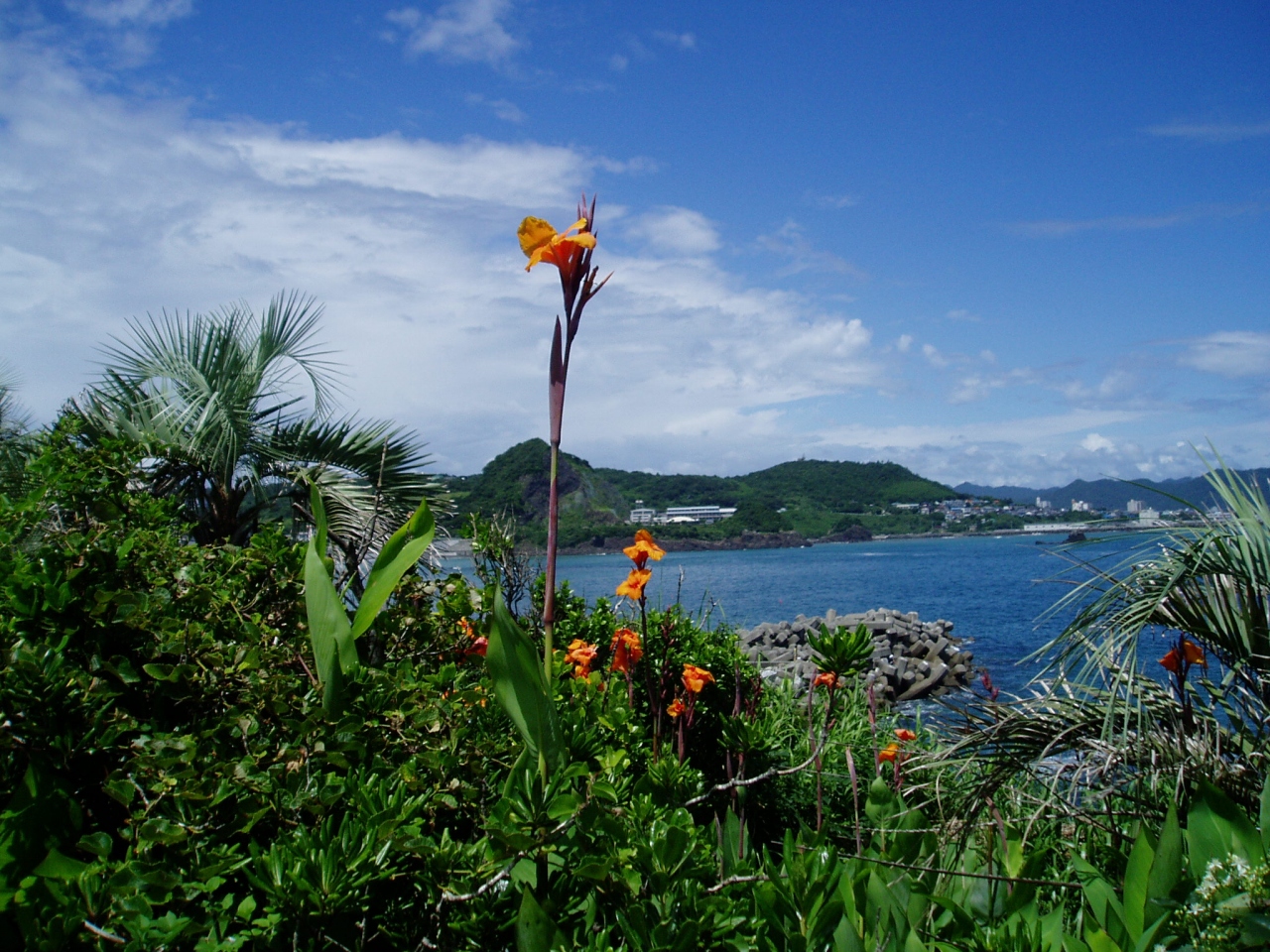 Japan 新日本百景 仁右衛門島 日本編 鴨川 千葉県 の旅行記 ブログ By ぶえのすこじこじさん フォートラベル
