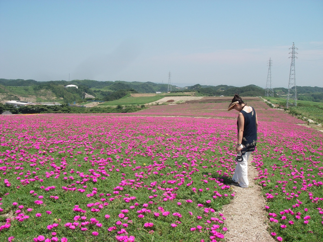 いつもの海でウクレレを と その前にちょいと観光 内海 南知多 愛知県 の旅行記 ブログ By ぼぬかいさん フォートラベル
