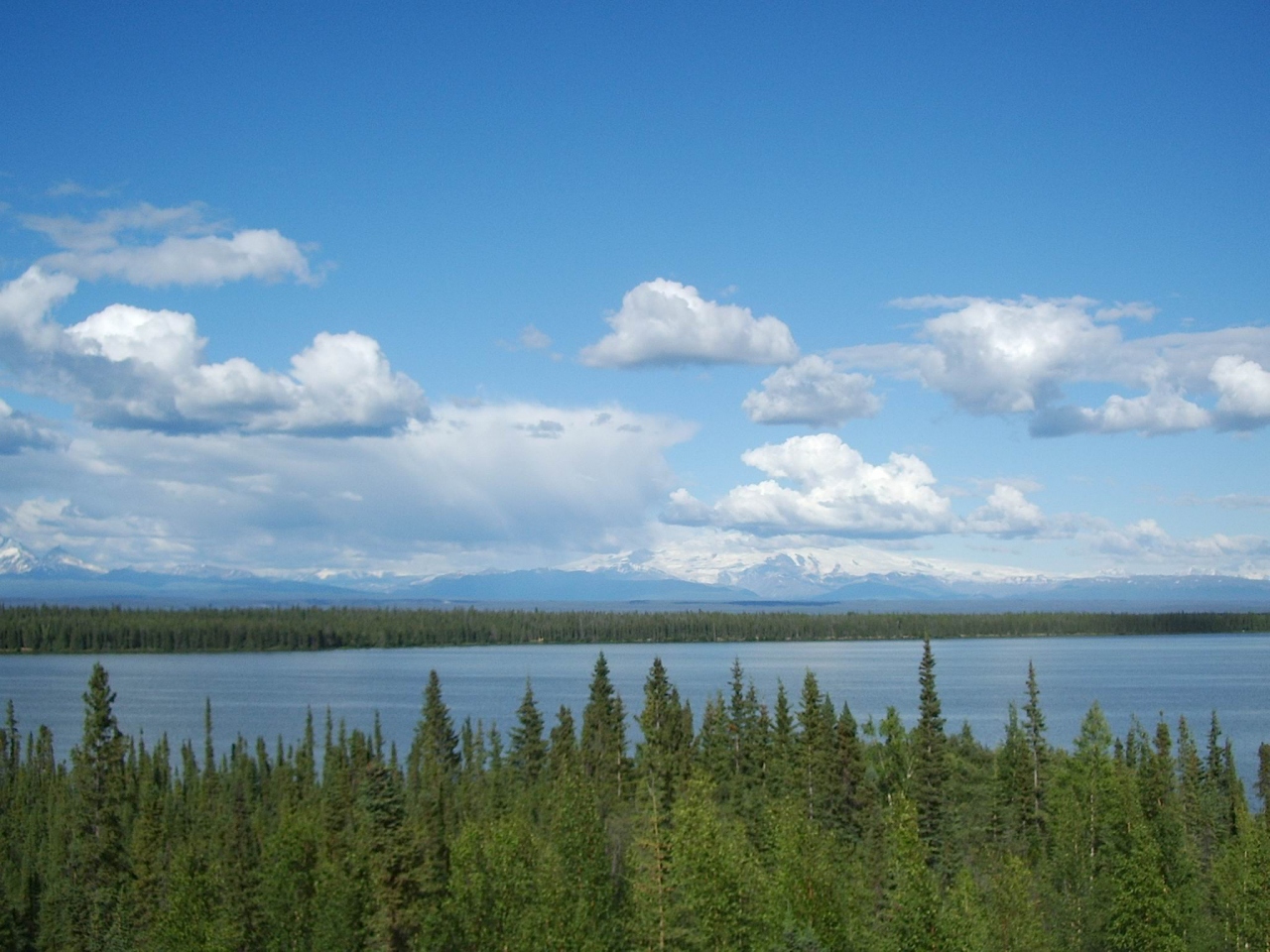 『10回目のアラスカ釣行』アラスカ州(アメリカ)の旅行記・ブログ by Tokyo Anglerさん【フォートラベル】