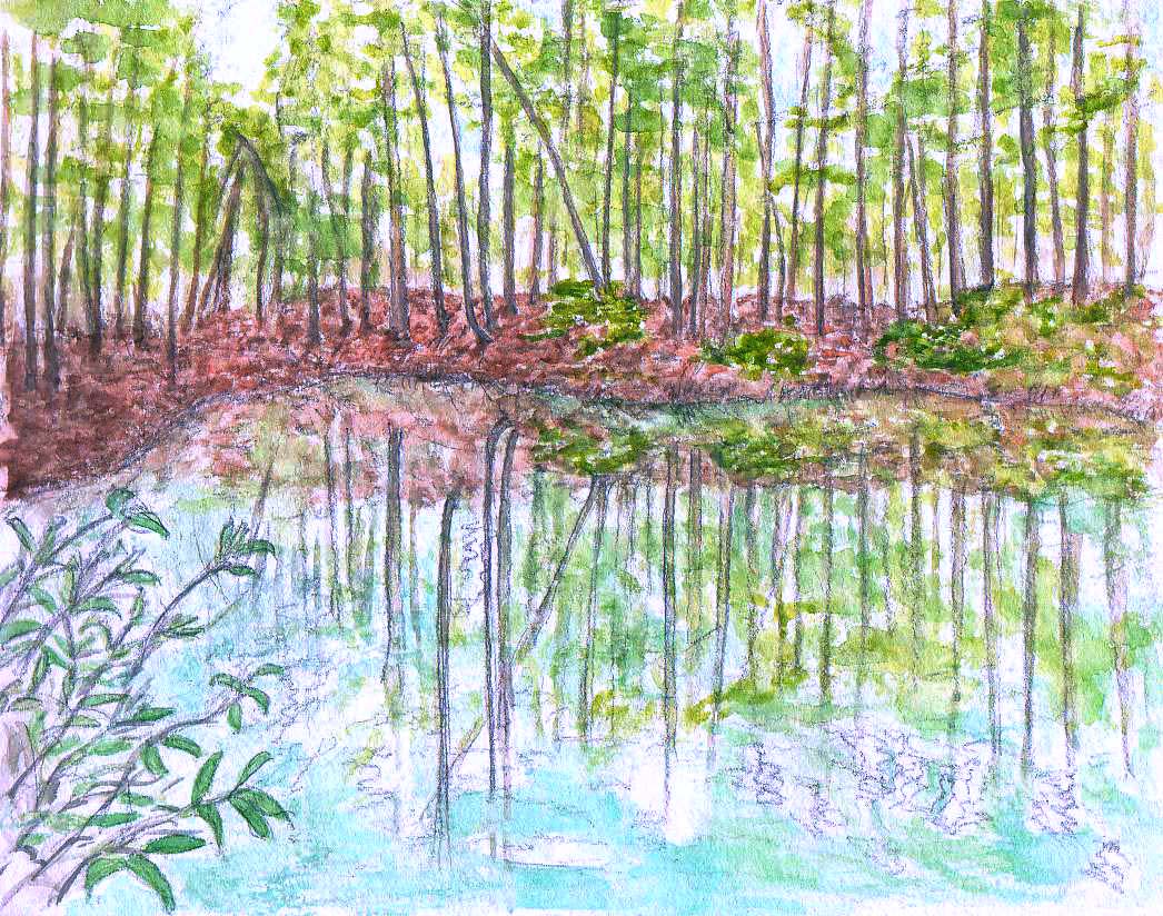 水 空 若葉 美人林 松之山温泉 新潟県 の旅行記 ブログ By 春風さやかさん フォートラベル 水 空 若葉 美人林 松之山温泉 新潟県 の旅行記 ブログ By 春風さやかさん フォートラベル