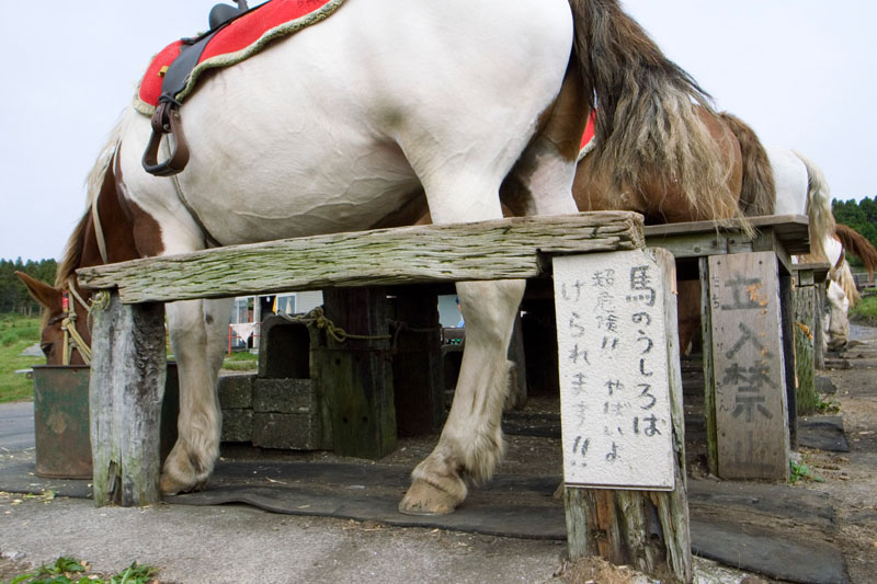 湯布院 くじゅう花公園 大観峰 草千里ヶ浜 高千穂峡 菊池渓谷 4 6 阿蘇 熊本県 の旅行記 ブログ By わまぽさん フォートラベル 湯布院 くじゅう花公園 大観峰 草千里ヶ浜 高千穂峡 菊池渓谷 4 6 阿蘇 熊本県 の旅行記 ブログ By わまぽさん フォートラベル