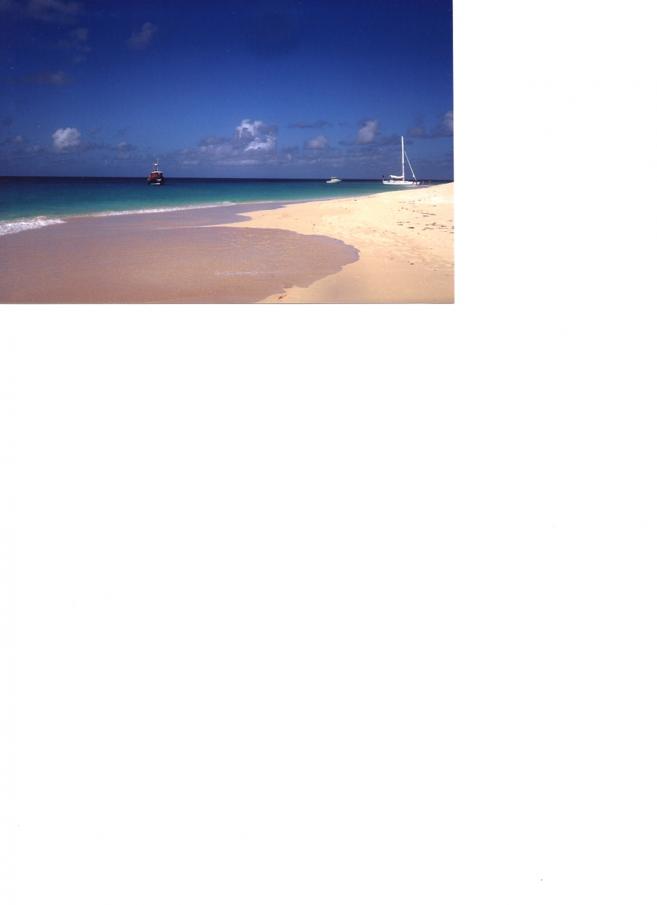 Christmas In St Croix セント クロイ 米領ヴァージン諸島 の旅行記 ブログ By Hermitさん フォートラベル