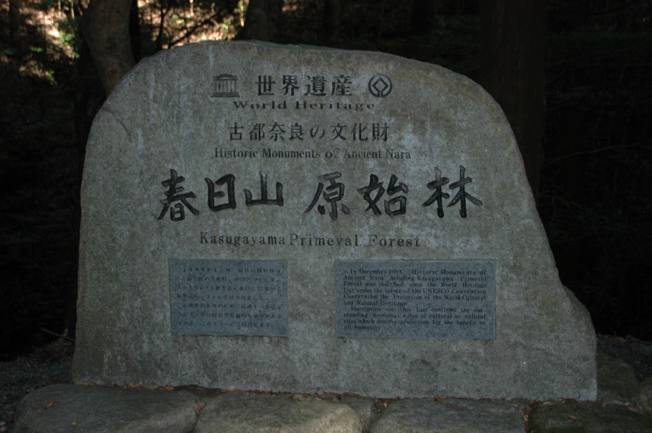 奈良奥山のドライブ 奈良市 奈良県 の旅行記 ブログ By さんぽさん フォートラベル