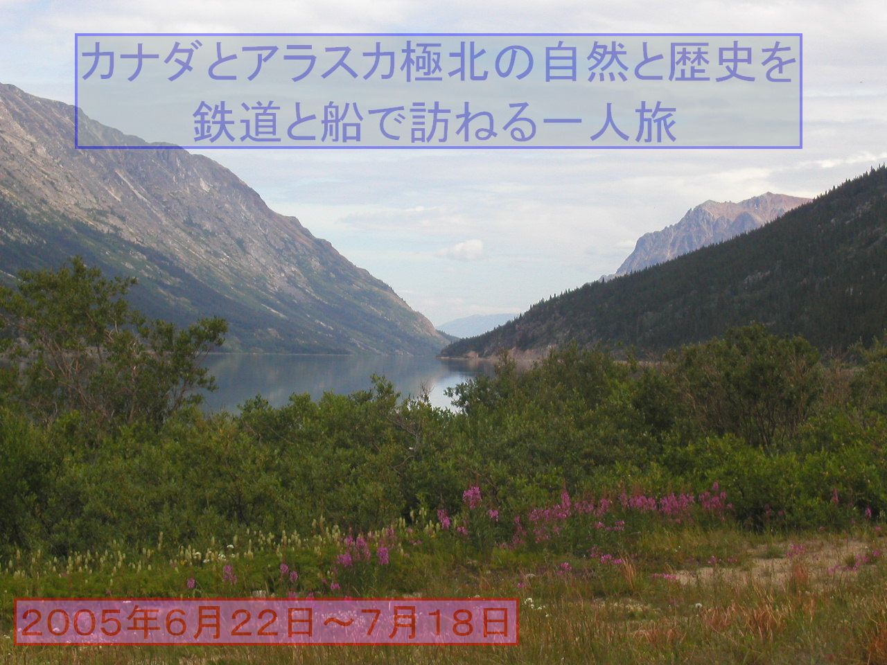 カナダとアラスカ極北の自然と歴史を鉄道と船で訪ねる一人旅 その10 列車でキッキング ホース峠越え カナディアンロッキー カナダ の旅行記 ブログ By mozartianさん フォートラベル カナダとアラスカ極北の自然と歴史を鉄道と船で訪ねる一人旅 その10 列車でキッキング ホース峠越え カナディアンロッキー カナダ の旅行記 ブログ By mozartianさん フォートラベル