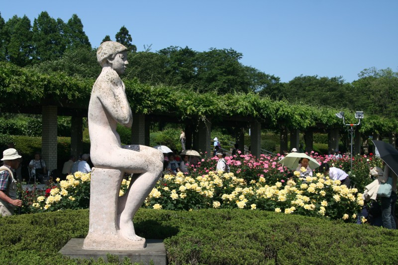 神代植物園バラフェスタ 調布 狛江 東京 の旅行記 ブログ By さにべいさん フォートラベル