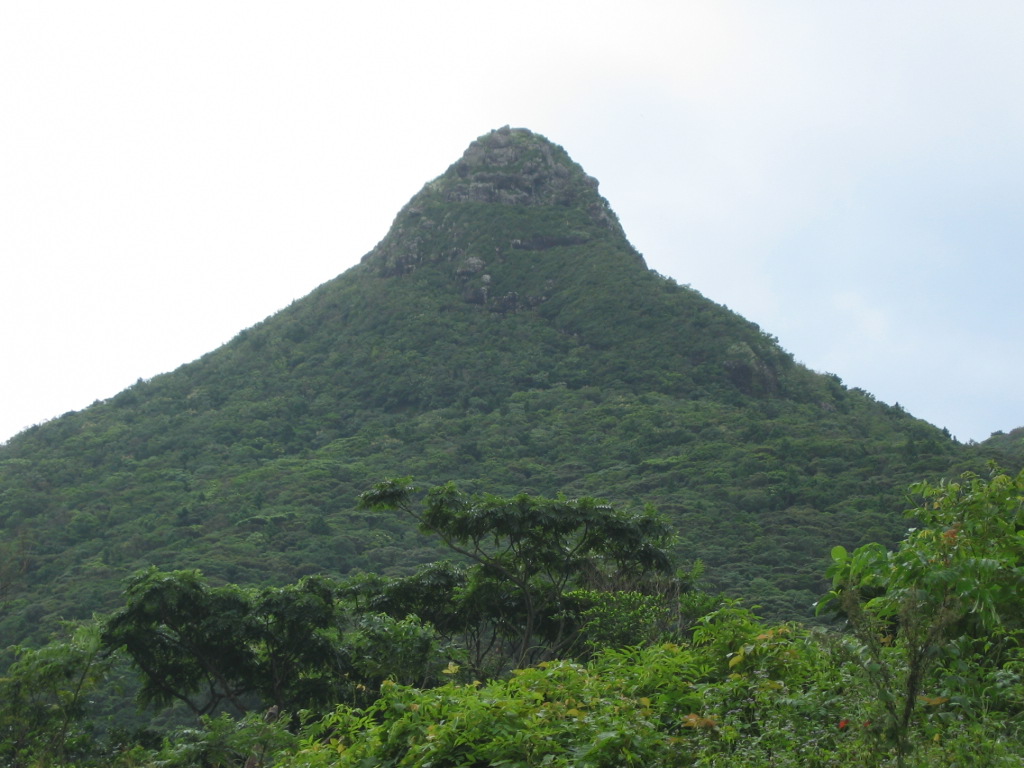 速攻登山 ヌスクマーペー 野底マーペー 野底岳 石垣島 沖縄県 の旅行記 ブログ By 高級和牛の会のかいさん フォートラベル