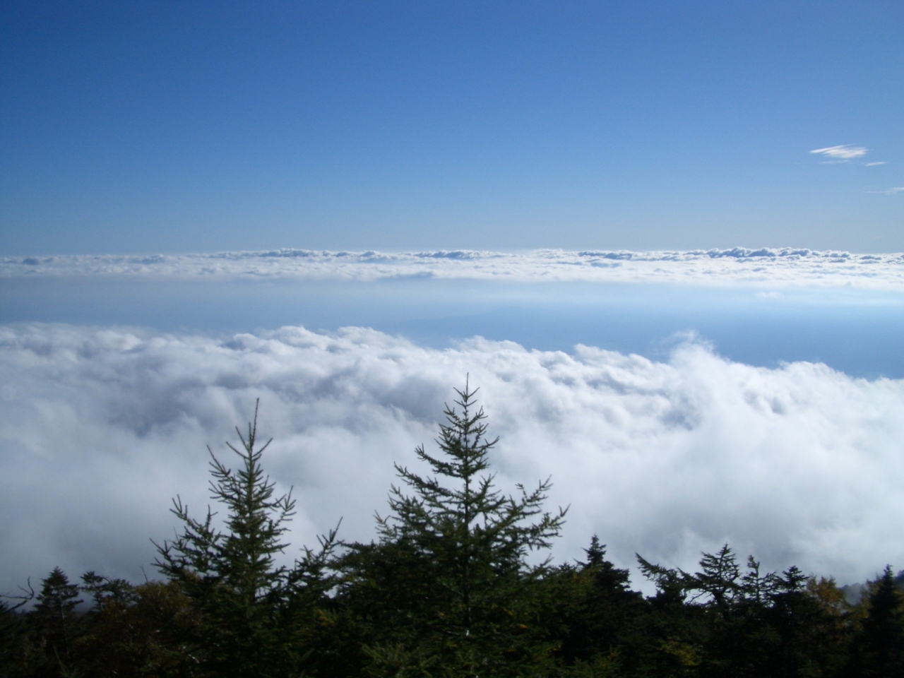雲の上 富士宮 静岡県 の旅行記 ブログ By ほーじゃんさん フォートラベル