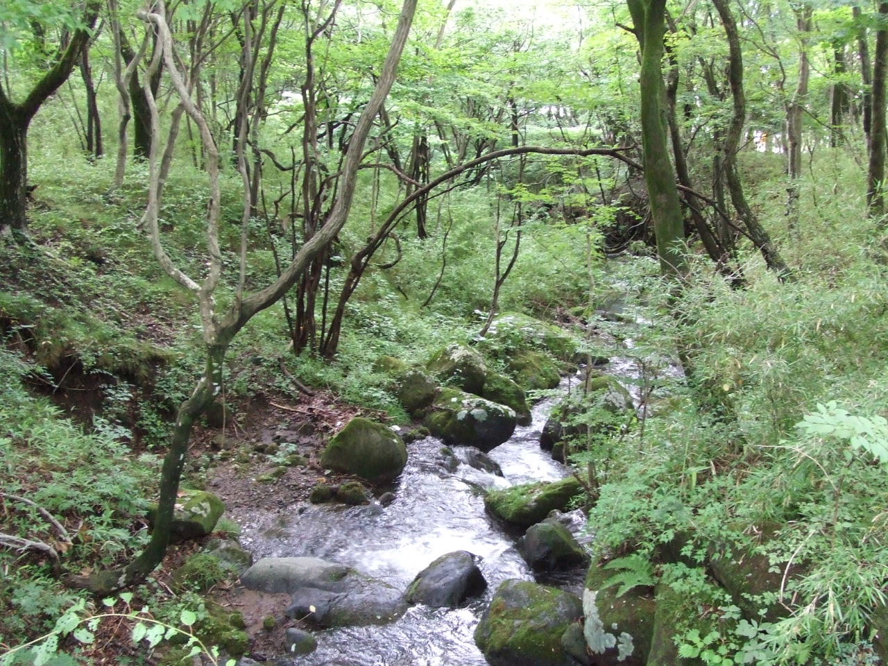雨ばっかりの那須ドライブ旅行 那須 栃木県 の旅行記 ブログ By たまさん フォートラベル 雨ばっかりの那須ドライブ旅行 那須 栃木県 の旅行記 ブログ By たまさん フォートラベル