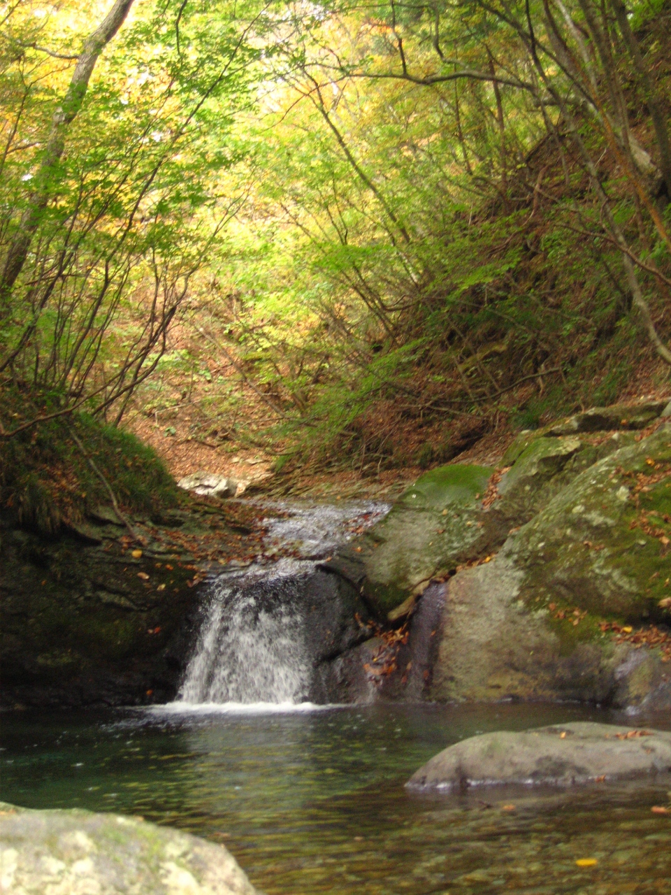 紅葉づきはじめた塩原渓谷 やしおコースを歩いて 塩原温泉郷 栃木県 の旅行記 ブログ By マキタンさん フォートラベル 紅葉づきはじめた塩原渓谷 やしおコースを歩いて 塩原温泉郷 栃木県 の旅行記 ブログ By マキタンさん フォートラベル