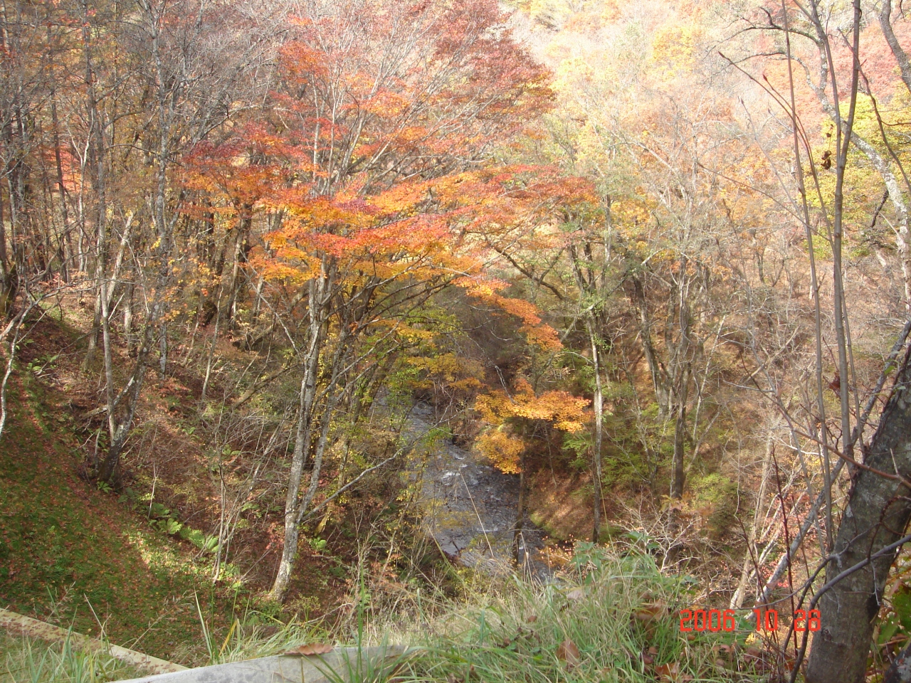 北軽井沢 嬬恋 北軽井沢 群馬県 の旅行記 ブログ By 巨峰さん フォートラベル 北軽井沢 嬬恋 北軽井沢 群馬県 の旅行記 ブログ By 巨峰さん フォートラベル