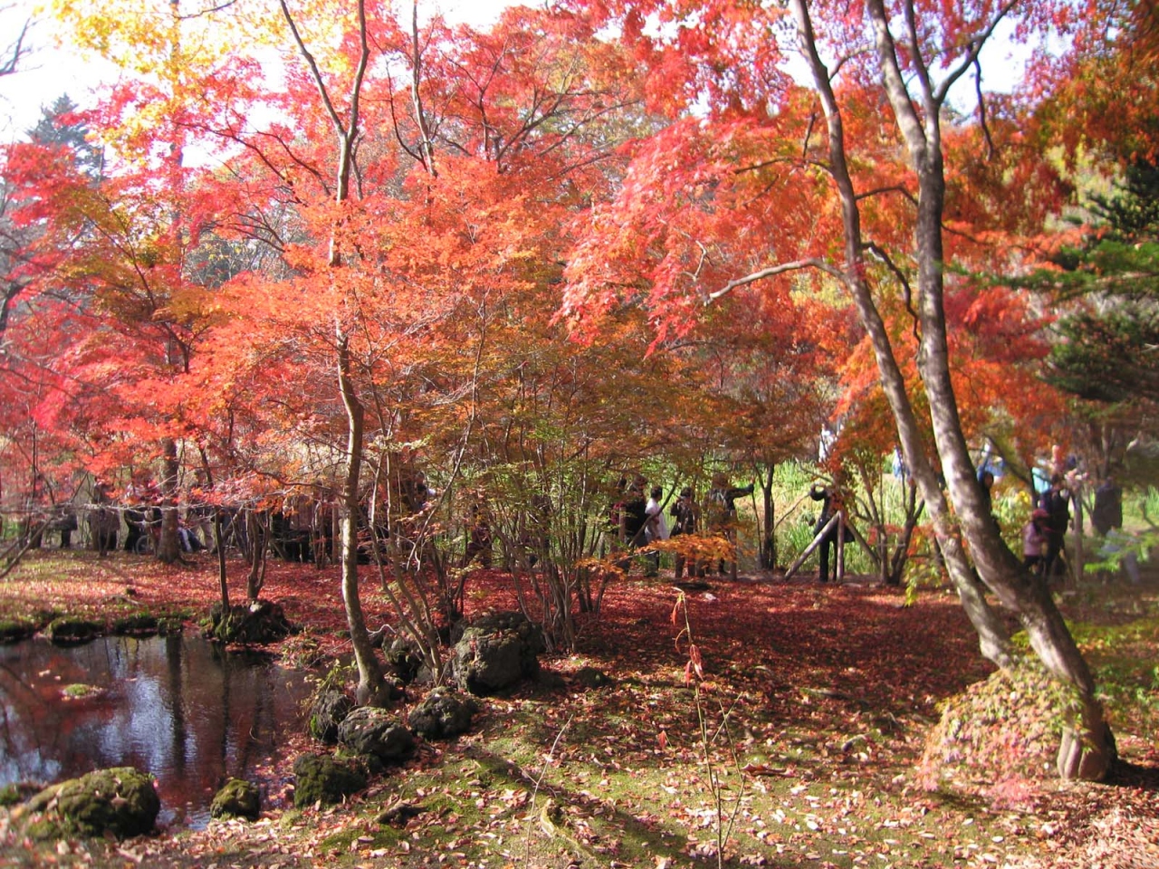 紅葉づくしな秋の軽井沢 善光寺 長野県の旅行記 ブログ By 子狸ポンタさん フォートラベル