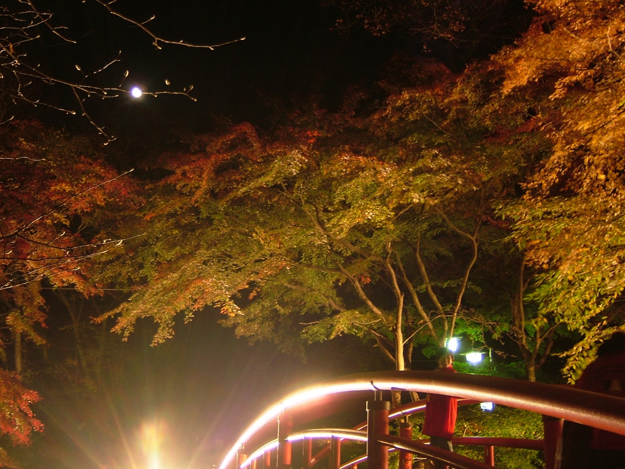 伊香保温泉 河鹿橋の紅葉を見てきました 伊香保温泉 群馬県 の旅行記 ブログ By ももやんさん フォートラベル 伊香保温泉 河鹿橋の紅葉を見てきました 伊香保温泉 群馬県 の旅行記 ブログ By ももやんさん フォートラベル