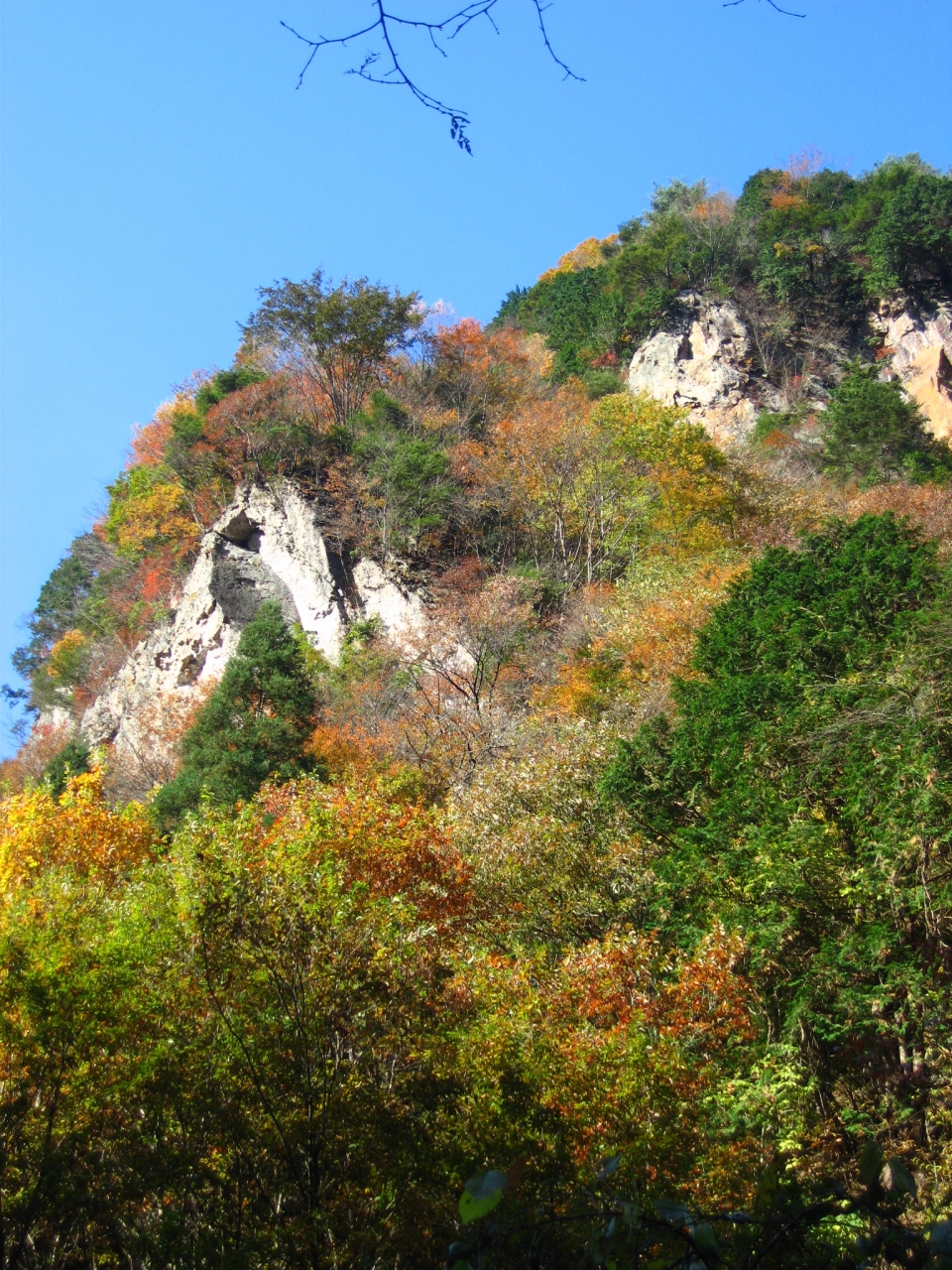 奥多摩の展望台 川苔山に登頂 紅葉と落葉のはざまで 奥多摩 東京 の旅行記 ブログ By マキタンさん フォートラベル