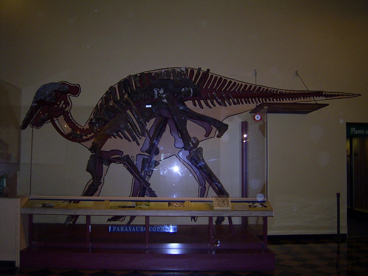 ちょっとお出掛け Chicago Field Museum Of Natural History シカゴ アメリカ の旅行記 ブログ By Cobraさん フォートラベル ちょっとお出掛け Chicago Field Museum Of Natural History シカゴ アメリカ の旅行記 ブログ By Cobraさん フォートラベル