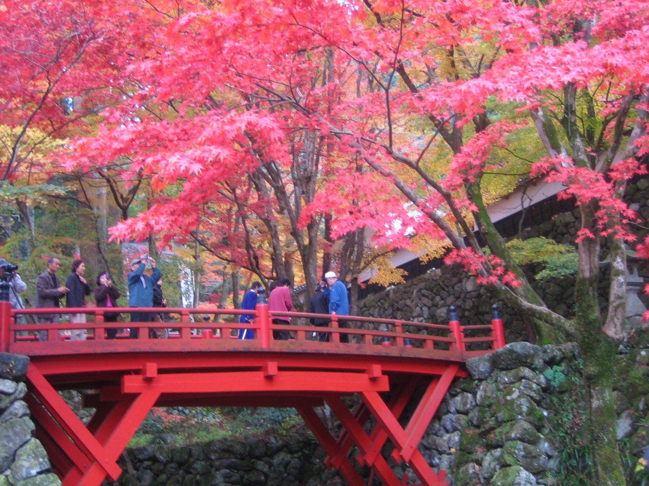 横蔵寺のもみじ 羽島 岐阜県 の旅行記 ブログ By ムラさん フォートラベル 横蔵寺のもみじ 羽島 岐阜県 の旅行記 ブログ By ムラさん フォートラベル