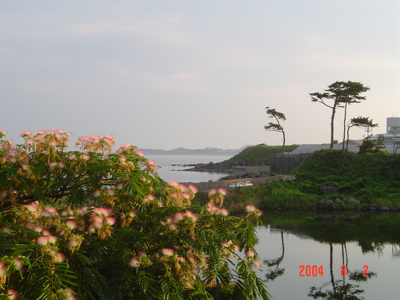細道探訪 象潟や雨に西施がねぶの花 象潟 にかほ 秋田県 の旅行記 ブログ By あぶくまさん フォートラベル