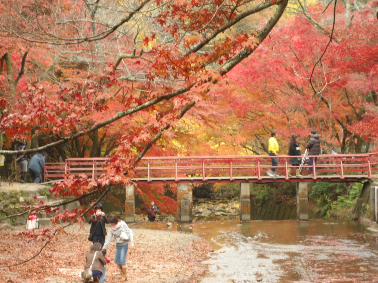 愛知 紅葉の岩屋堂公園へ 瀬戸 愛知県 の旅行記 ブログ By Kazu04さん フォートラベル
