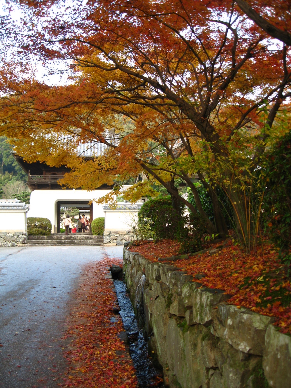 晩秋の宇治紅葉めぐり 興聖寺 宇治 京都 の旅行記 ブログ By はんなりさん フォートラベル