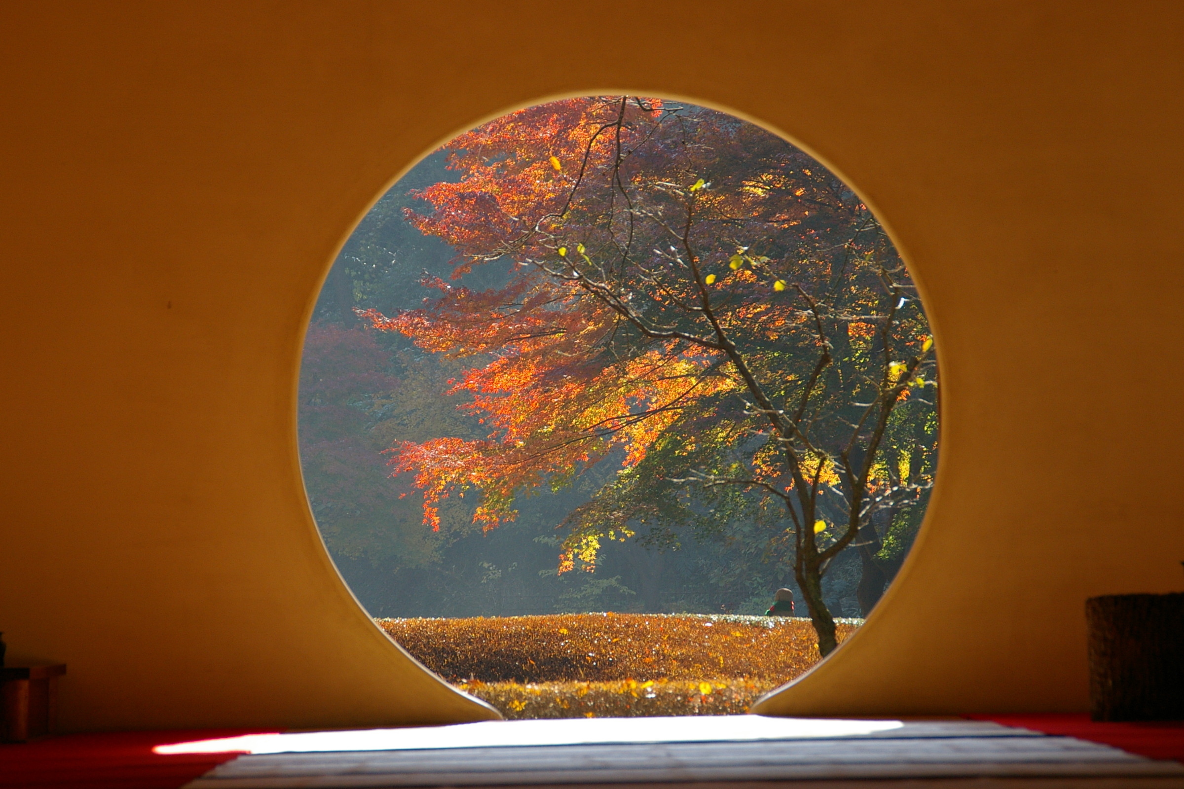 秋の鎌倉 紅葉とグルメ三昧の1日 鎌倉 神奈川県 の旅行記 ブログ By Canさん フォートラベル