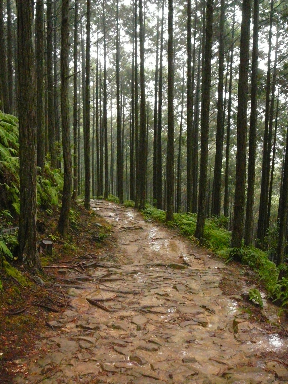 日本の世界遺産 熊野古道を歩く 熊野本宮 湯の峰温泉 和歌山県 の旅行記 ブログ By Naniwa Ladyさん フォートラベル 日本の世界遺産 熊野古道を歩く 熊野本宮 湯の峰温泉 和歌山県 の旅行記 ブログ By Naniwa Ladyさん フォートラベル