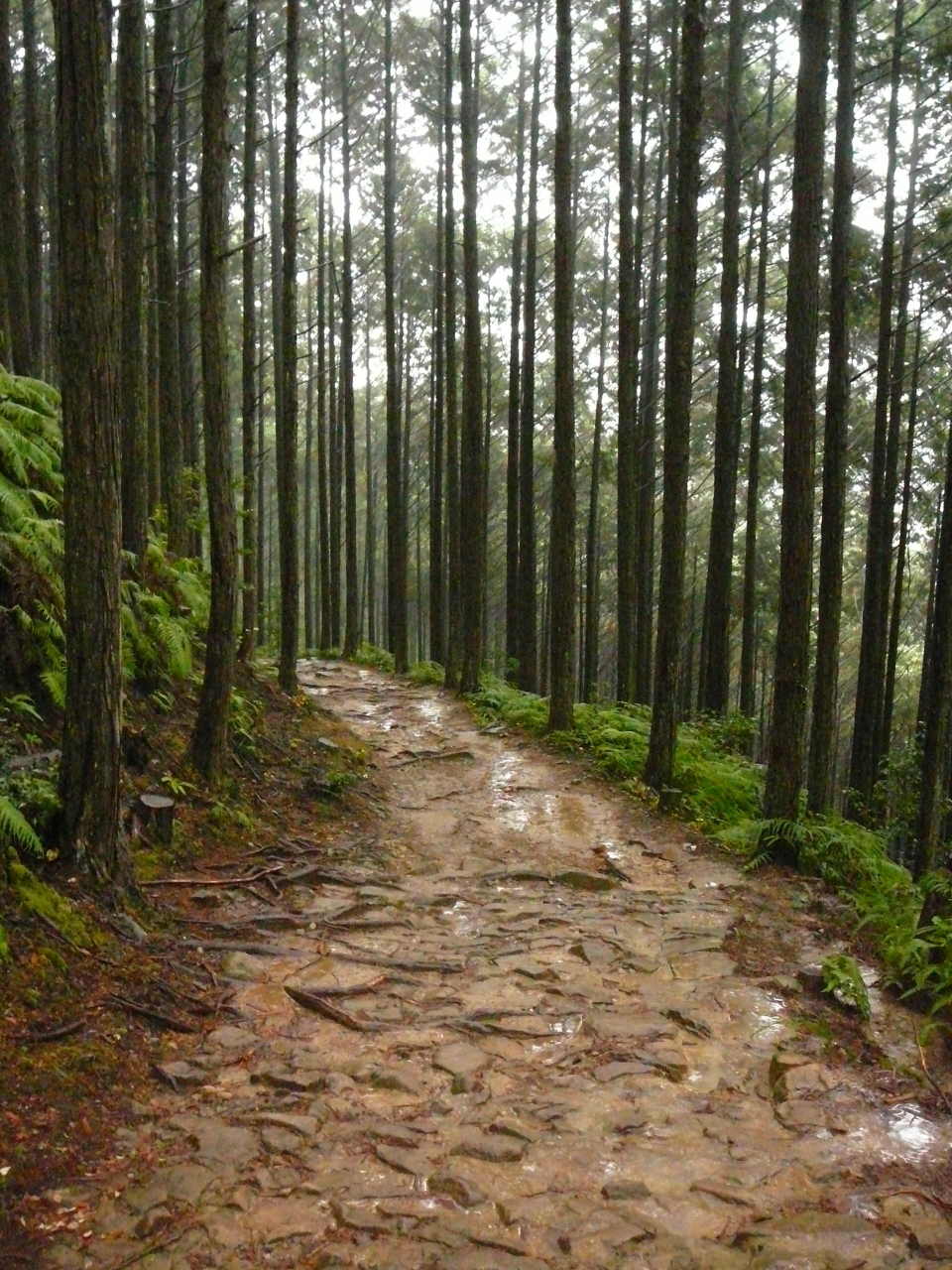 日本の世界遺産 熊野古道を歩く 熊野本宮 湯の峰温泉 和歌山県 の旅行記 ブログ By Naniwa Ladyさん フォートラベル