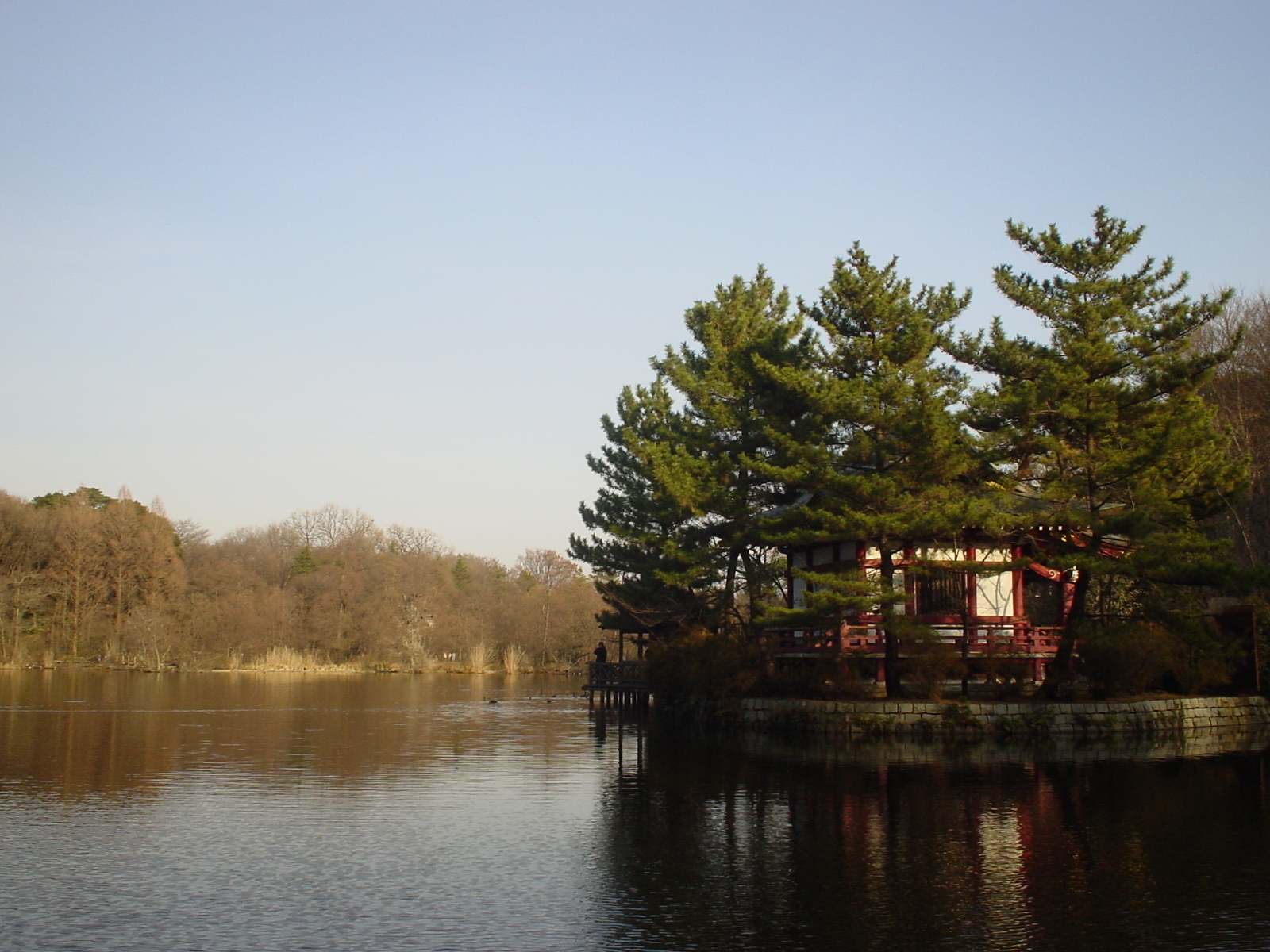 ご近所名所 元旦の石神井公園 Part2 三宝寺池編 練馬 東京 の旅行記 ブログ By Madeiraさん フォートラベル