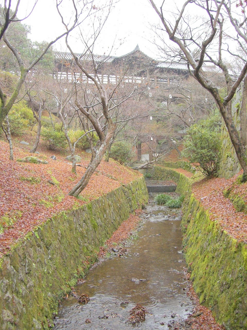 冬の京都 東福寺 三十三間堂 京都駅周辺 京都 の旅行記 ブログ By Areaさん フォートラベル 冬の京都 東福寺 三十三間堂 京都駅周辺 京都 の旅行記 ブログ By Areaさん フォートラベル