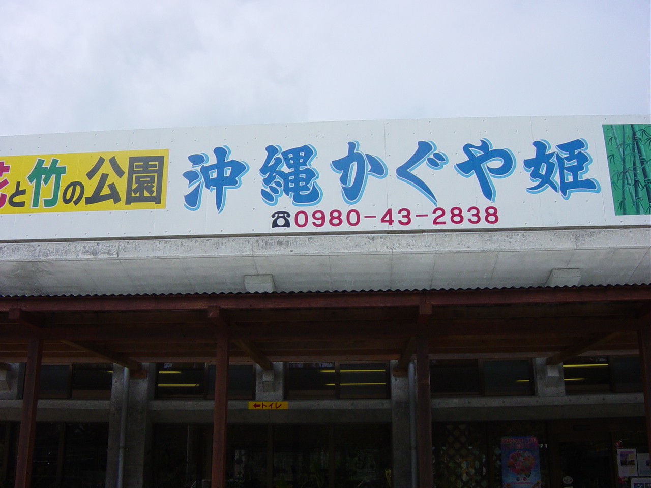 沖縄本島北部 東村の かぐや姫 沖縄県の旅行記 ブログ By Hn11さん フォートラベル 沖縄本島北部 東村の かぐや姫 沖縄県の旅行記 ブログ By Hn11さん フォートラベル