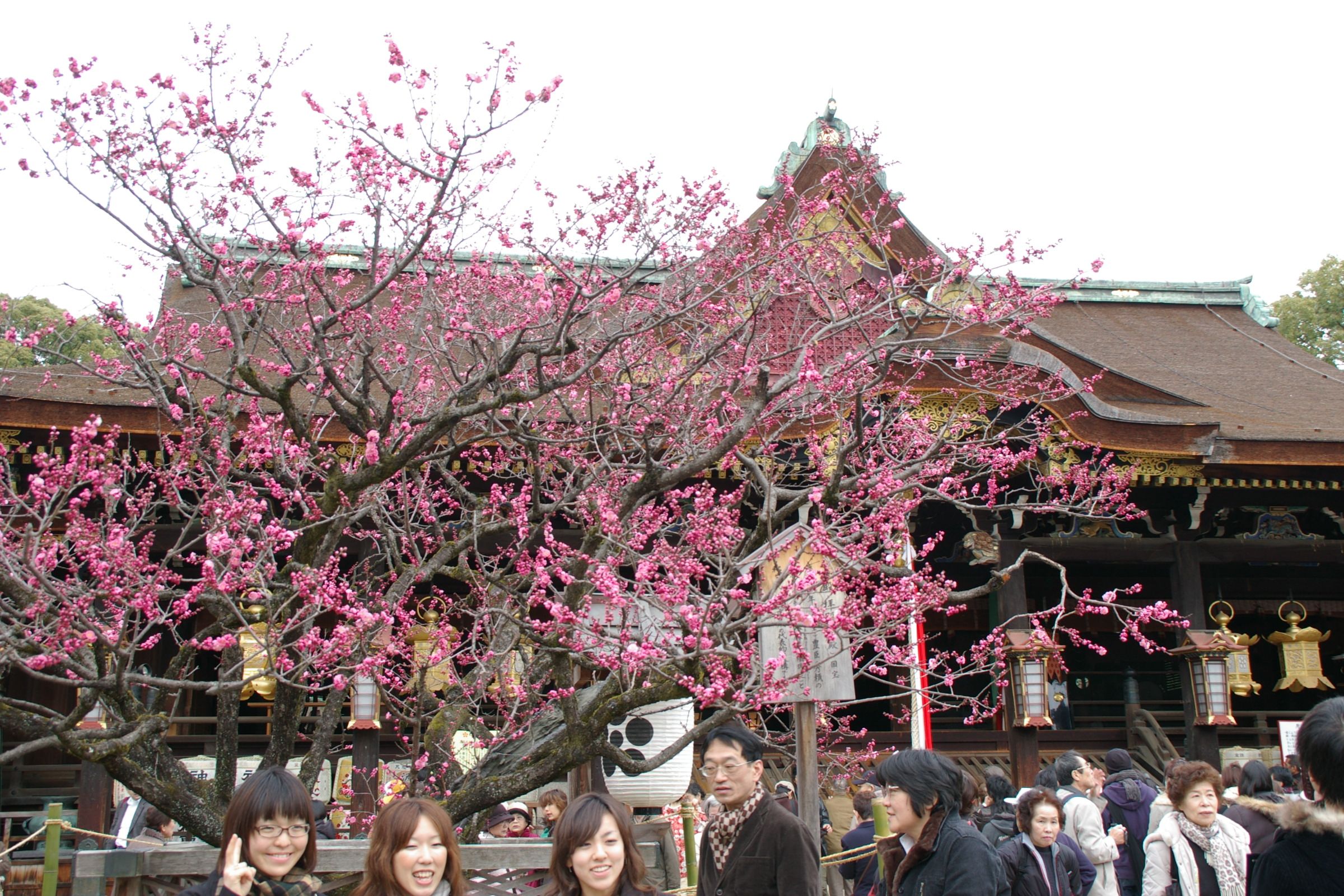 北野天満宮の梅花祭 今出川 北大路 北野 京都 の旅行記 ブログ By Morino296さん フォートラベル