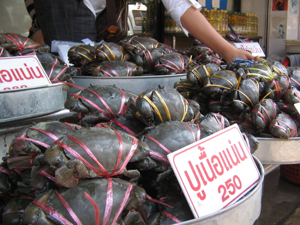 ちょっと 蟹を買いに バンコク タイ の旅行記 ブログ By げーさくさん フォートラベル
