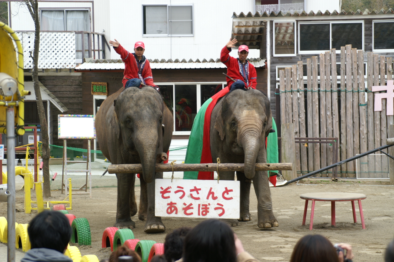 市原ぞうの国 市原 千葉県 の旅行記 ブログ By Dr Kimiさん フォートラベル