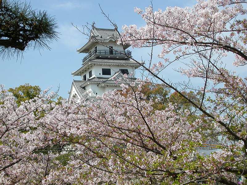 桜の今治城 今治 愛媛県 の旅行記 ブログ By 義臣さん フォートラベル