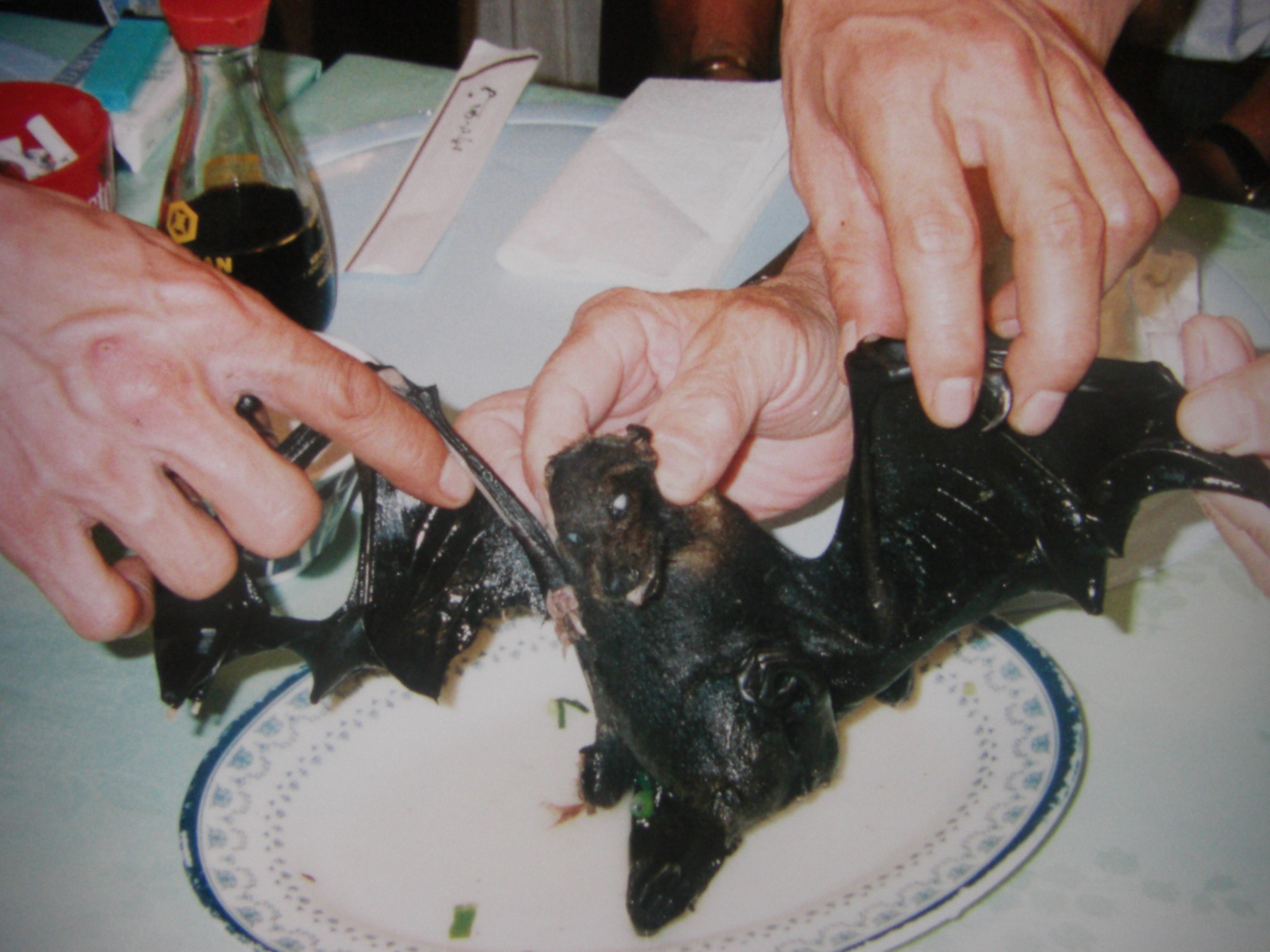 パラオ戦没者慰霊の旅 1998 03 パラオ パラオ の旅行記 ブログ By クコンバさん フォートラベル