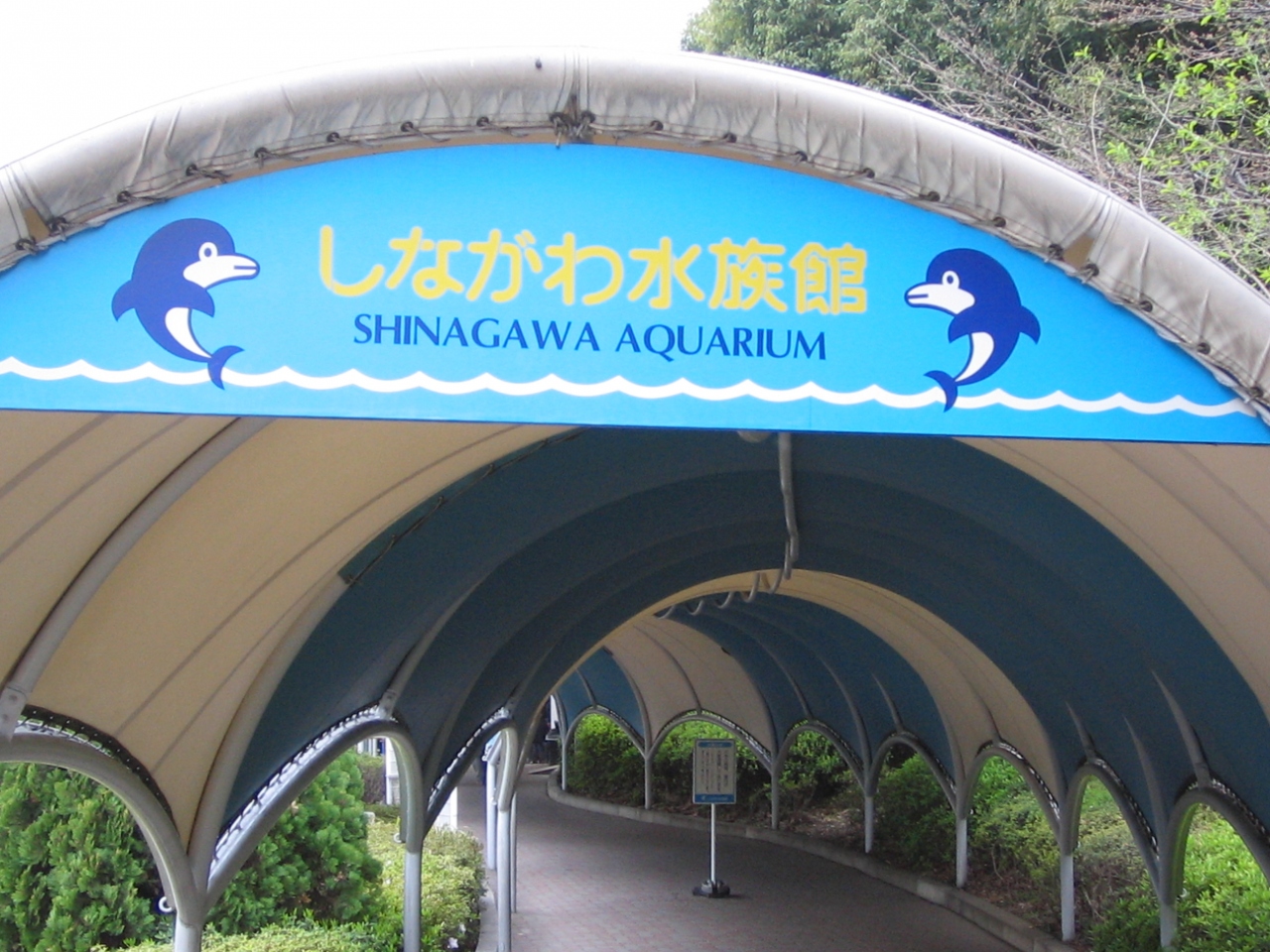 しながわ水族館 品川 東京 の旅行記 ブログ By Sayakaさん フォートラベル