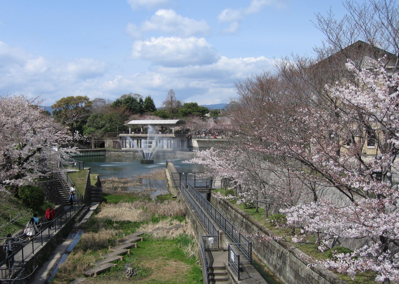 京都の桜 07 その2 蹴上インクライン 南禅寺 植物園 東山 祇園 北白川 京都 の旅行記 ブログ By Akkiyさん フォートラベル