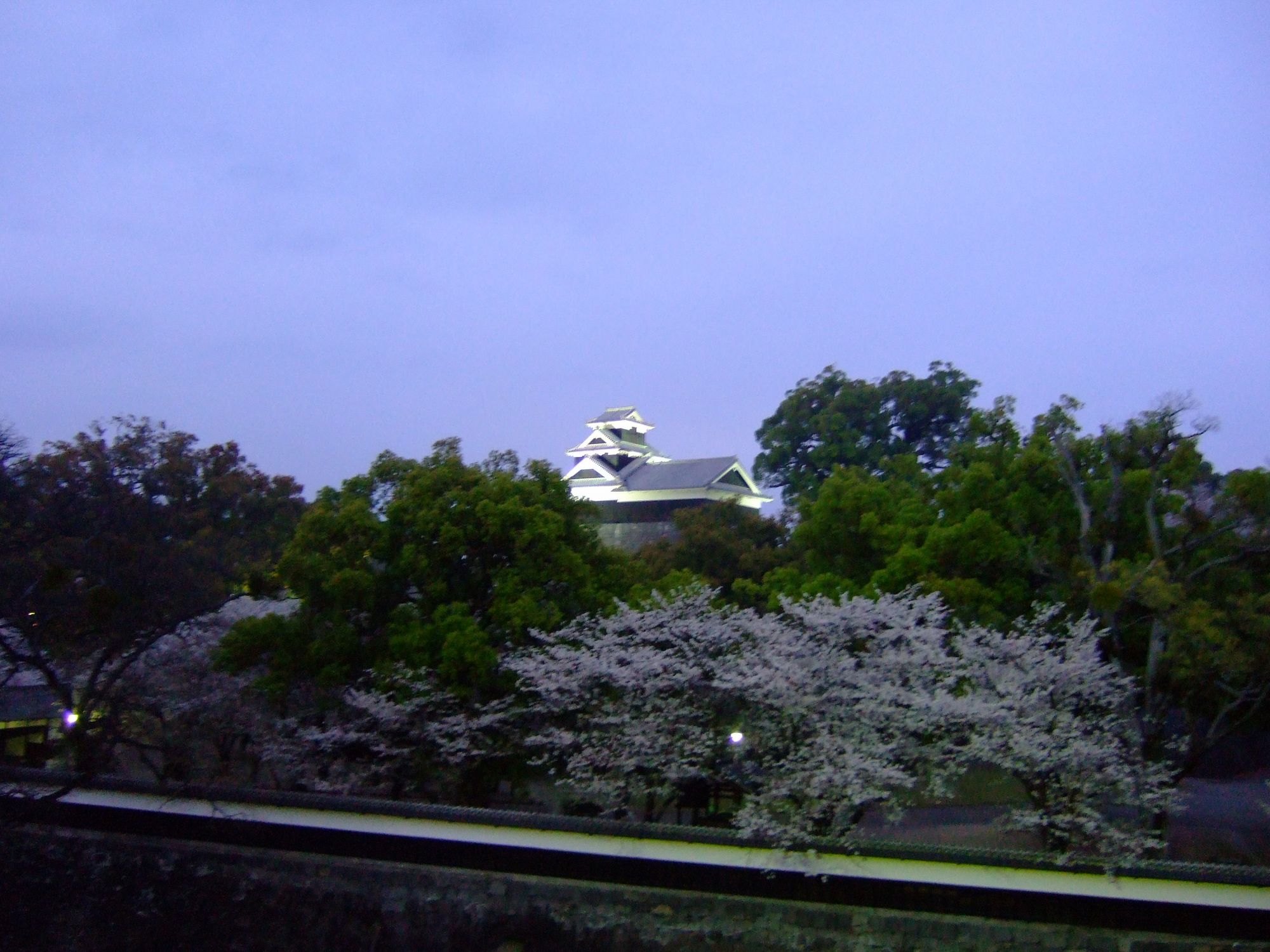 夜桜 熊本城と私ごと 熊本市 熊本県 の旅行記 ブログ By Ibuさん フォートラベル 夜桜 熊本城と私ごと 熊本市 熊本県 の旅行記 ブログ By Ibuさん フォートラベル